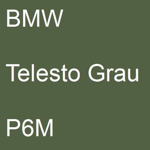 BMW, Telesto Grau, P6M.